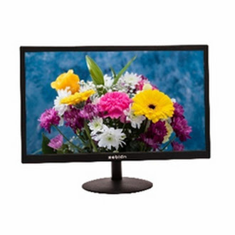 Zebion 20” LED Monitor